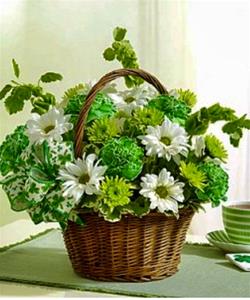 1b. Basket of Mixed St. Patrick's Flowers